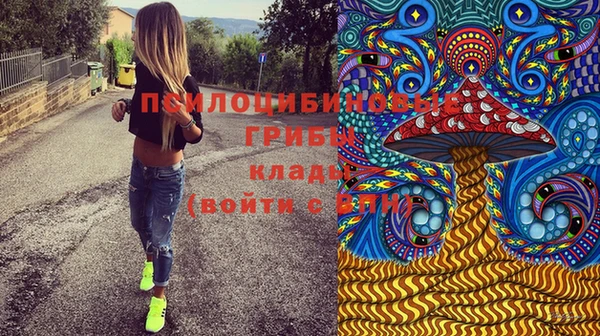 герыч Алексеевка