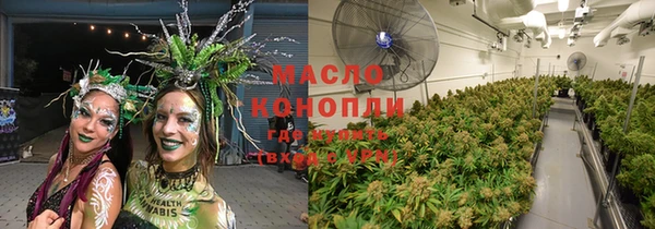 метадон Алексин