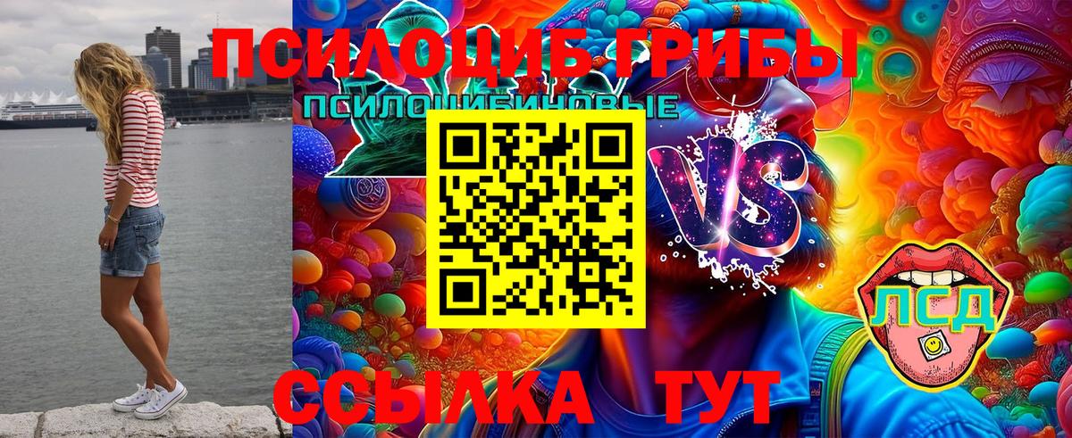Псилоцибиновые грибы ЛСД Тверь