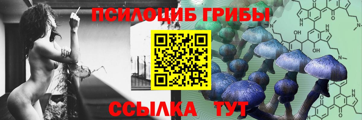 Тверь  хочу   Вход с VPN  Галлюциногенные грибы мухоморы 