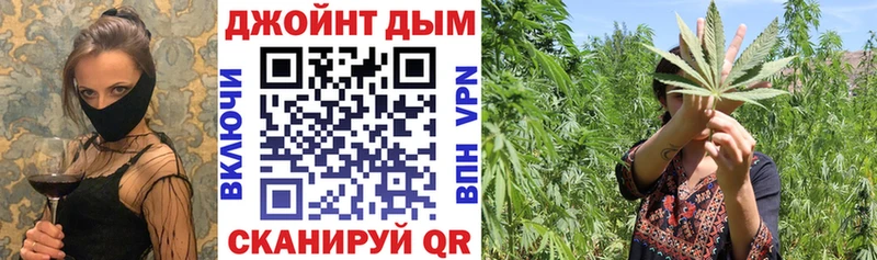где купить наркотик  Тверь  Бошки Шишки Amnesia 